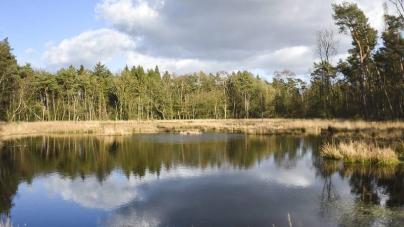 Von 435 auf 596 Quadratkilometer: Entscheidung über Erweiterung des Naturparks Schwalm-Nette vertagt