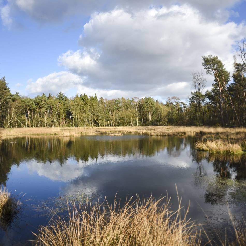 Von 435 auf 596 Quadratkilometer: Entscheidung über Erweiterung des Naturparks Schwalm-Nette vertagt