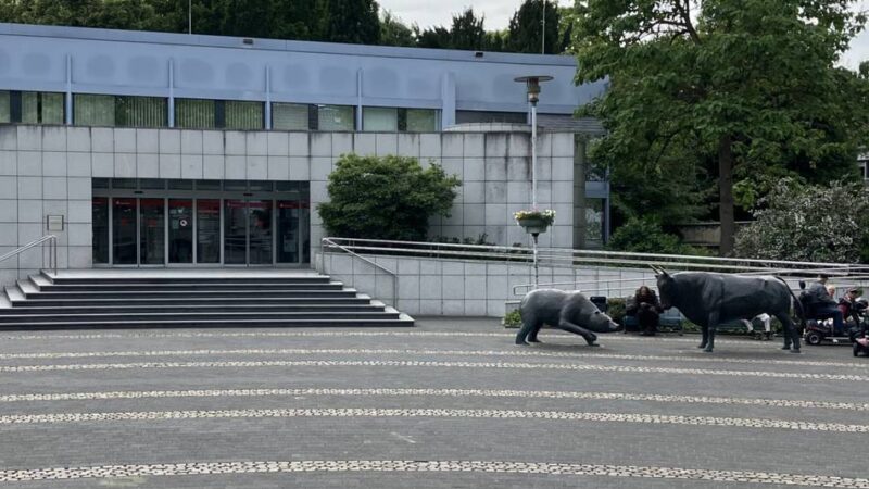 Aufruf für Einrichtungen Vereine und Co.: Anmeldung zum Sozialen Markt in Viersen läuft