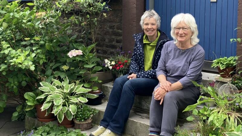 Stadt Viersen forderte Beseitigung: Anwohner fürchten um grüne Oase in Helenabrunn