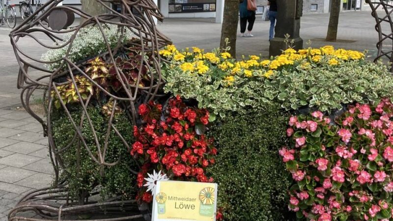 Blumennarr, Löwe und Spinnradmädchen: „Viersen blüht“ ist gestartet