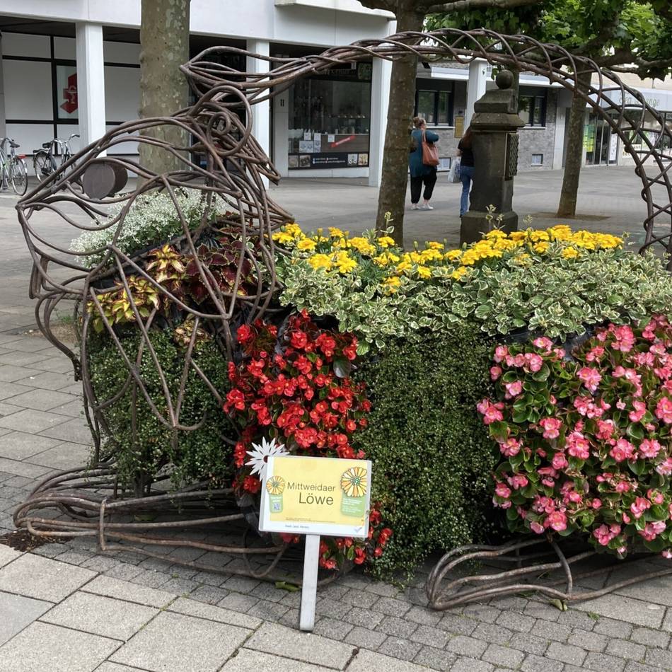 Blumennarr, Löwe und Spinnradmädchen: „Viersen blüht“ ist gestartet