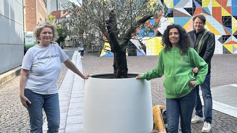 Nach Ausstellung in Düsseldorf: Yoko Onos „Wish Tree“ ist jetzt für Kinder da