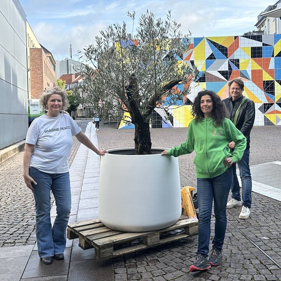 Nach Ausstellung in Düsseldorf: Yoko Onos „Wish Tree“ ist jetzt für Kinder da