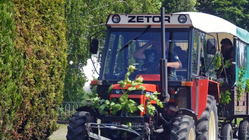 Vorfall in Kempen: Pinkelpause bei Planwagenfahrt eskaliert