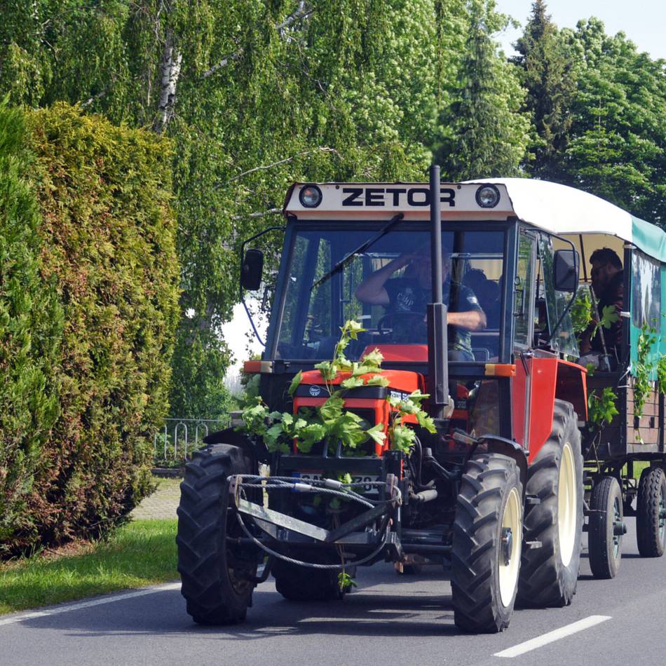 Vorfall in Kempen: Pinkelpause bei Planwagenfahrt eskaliert