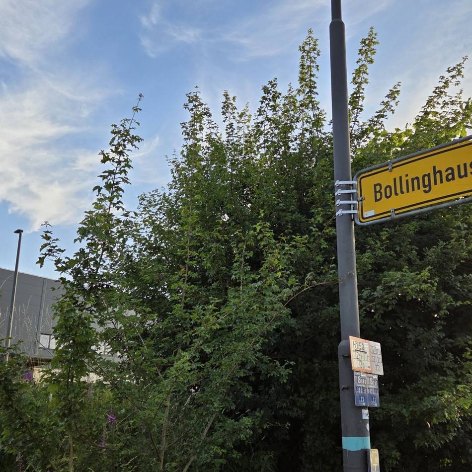 Bürgermonitor für Wermelskirchen: Internet-Frust in Bollinghausen