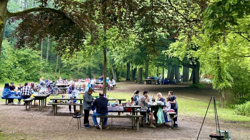 Debatte in Mönchengladbach: Grillen am Stadtwald – CDU fordert mehr Kontrollen