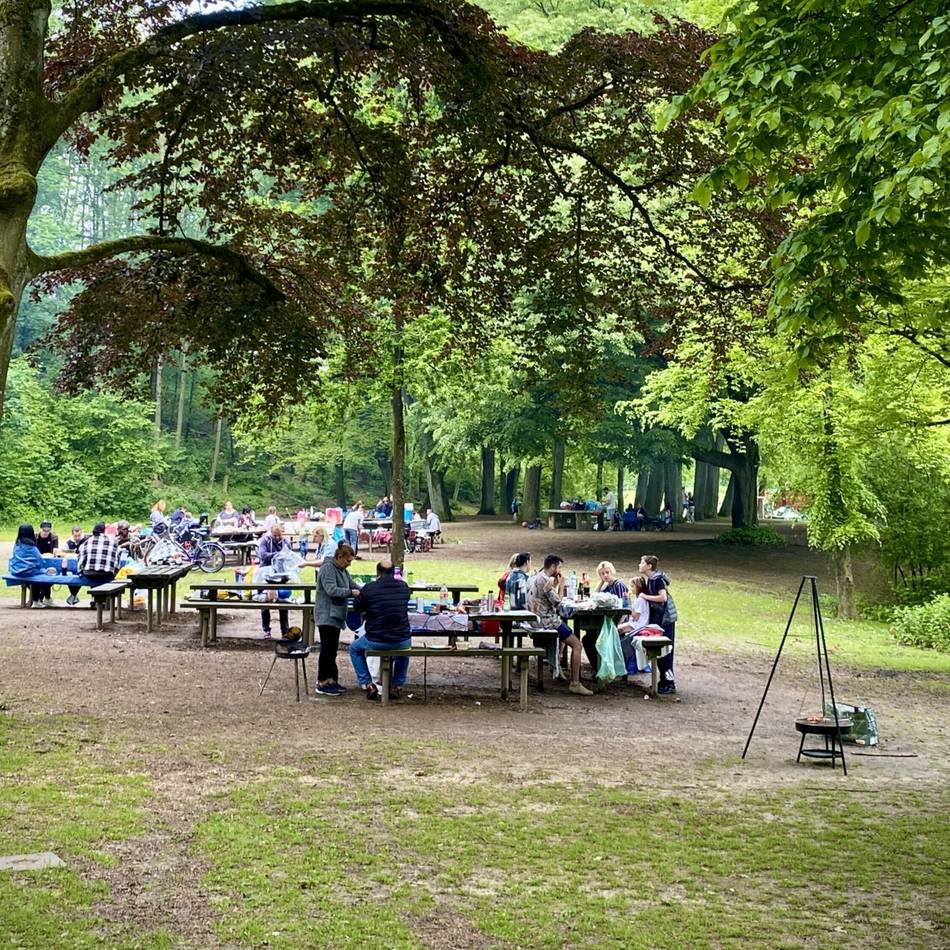 Debatte in Mönchengladbach: Grillen am Stadtwald – CDU fordert mehr Kontrollen