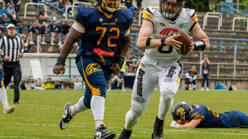 Die Statistik vor Duell mit Langenfeld Longhorns: Wo die Ravens im Derby die Nase vorn haben könnten – und worauf sie aufpassen müssen