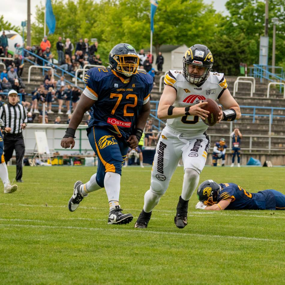 Die Statistik vor Duell mit Langenfeld Longhorns: Wo die Ravens im Derby die Nase vorn haben könnten – und worauf sie aufpassen müssen