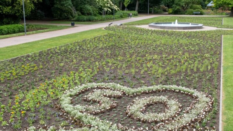 50 Jahre Mönchengladbach: Sommerbepflanzung zur Feier des Stadtjubiläums