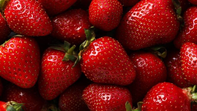 Saisonales Obst in der Landeshauptstadt: Wo es in Düsseldorf frische Erdbeeren gibt – sogar zum Selbstpflücken
