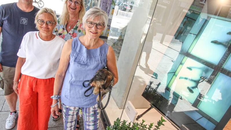 Aktion in Grevenbroich: Neue Auflage der Kunstschaufenster diesmal mit Gesamtschau in Galerie