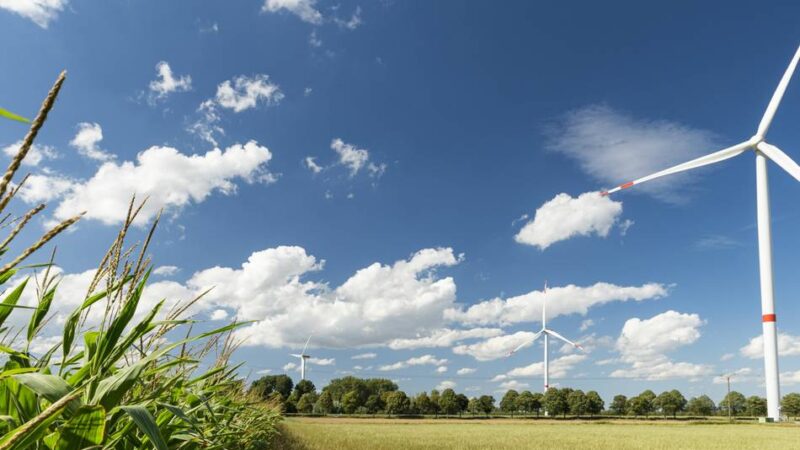Heizen, Sanieren, Sparen: Kostenlose Energieberatung für Kalkars Bürger