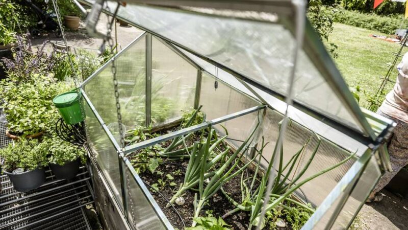 Paradiese hinter der geöffneten Gartenpforte : Pflanzen, ernten und genießen