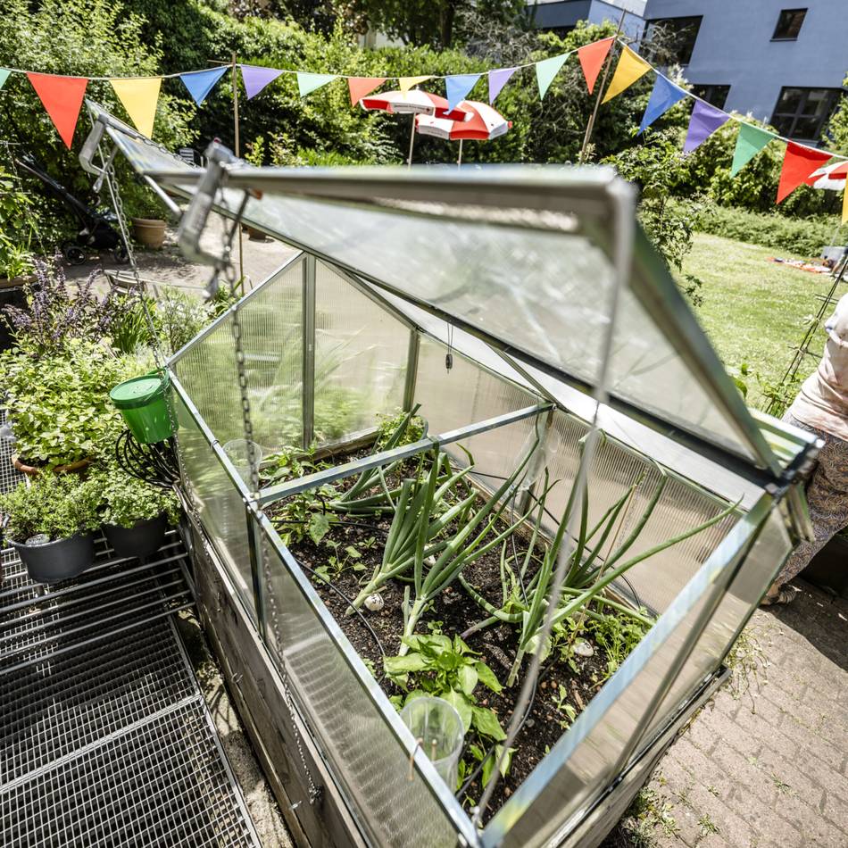 Paradiese hinter der geöffneten Gartenpforte : Pflanzen, ernten und genießen