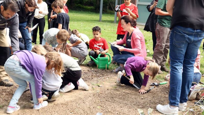 Bildung in Mönchengladbach: Die Klasse 2b lernt jetzt in der „Ackerdemie“