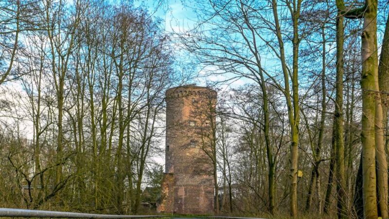 Unterwegs am Niederrhein: Was der Naturpark Schwalm-Nette im zweiten Halbjahr bietet