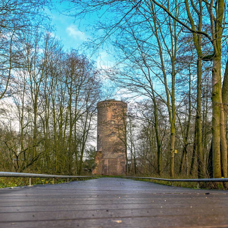 Unterwegs am Niederrhein: Was der Naturpark Schwalm-Nette im zweiten Halbjahr bietet