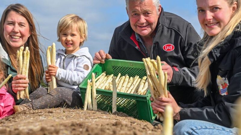 Am 24. Juni ist Schluss: Endspurt für den Spargel