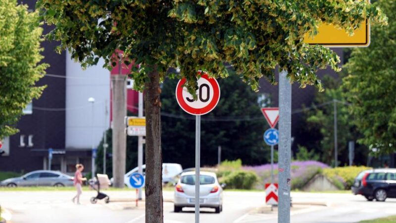 Verblätterte Verkehrsorientierung in Leverkusen: Baum vor Schild oder Schild vor Baum – das ist hier die Frage