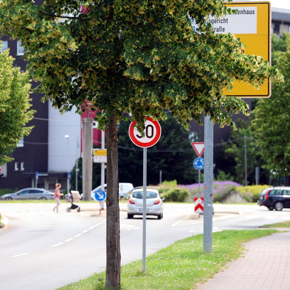 Verblätterte Verkehrsorientierung in Leverkusen: Baum vor Schild oder Schild vor Baum – das ist hier die Frage