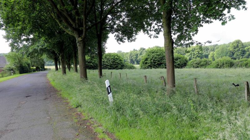 Neubau einer Unterkunft für geflüchtete Menschen: Xanten schlägt Alternative zum Standort in der Hees vor