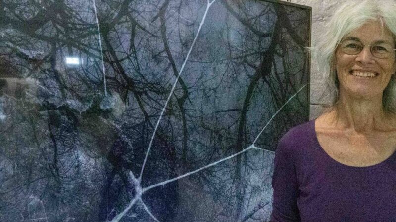 Interventionen an verschiedenen Orten in Krefeld: Vom Werden und Vergehen – Kunst von Doris Kaiser