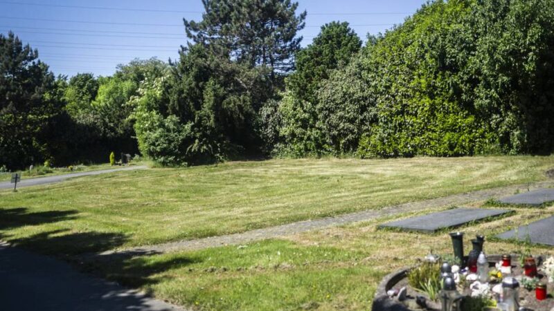 Bestattungen für Muslime und Juden: Neue Gräber auf dem Friedhof Itter beschäftigen die Politik