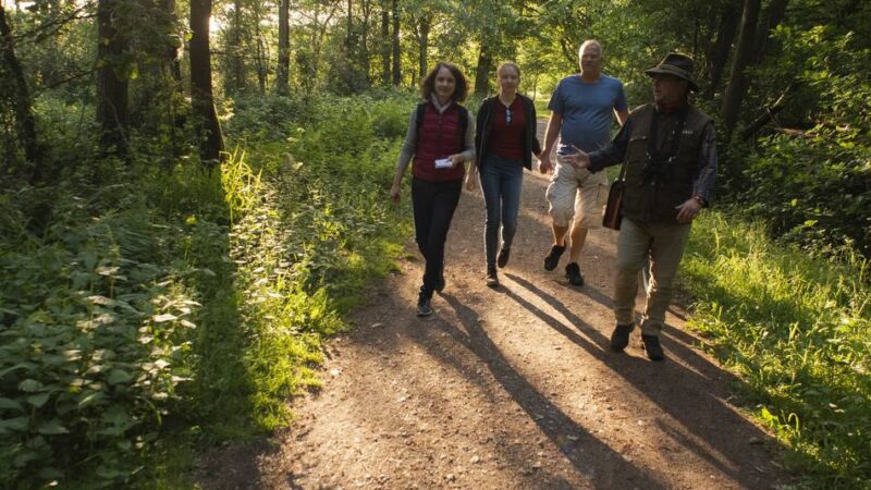 SGV-Wanderungen Langenfeld/Monheim: Auf dem Posthornweg oder rund um Engelskirchen