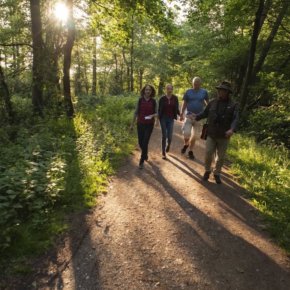 SGV-Wanderungen Langenfeld/Monheim: Auf dem Posthornweg oder rund um Engelskirchen