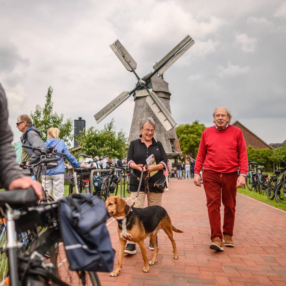 Alte Holländermühle in Kleve: Der Mühlentag lockte wieder viele Interessierte nach Donsbrüggen
