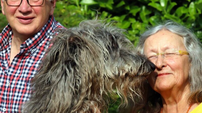 Autorenlesung bei Korn in Wesel: „Der Wolfshund“ – Worum es in dem neuen Niederrhein-Krimi geht