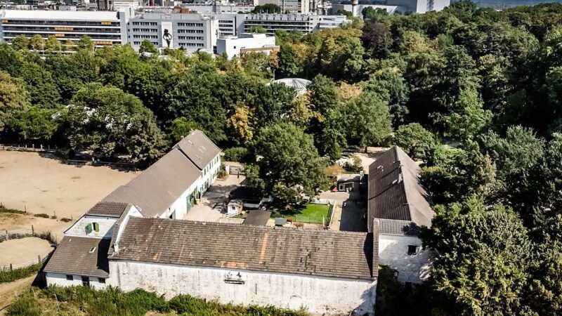 Denkmalgeschütztes Gehöft in Düsseldorf: Stadt lässt Zukunft des Niederheider Gutshofes offen