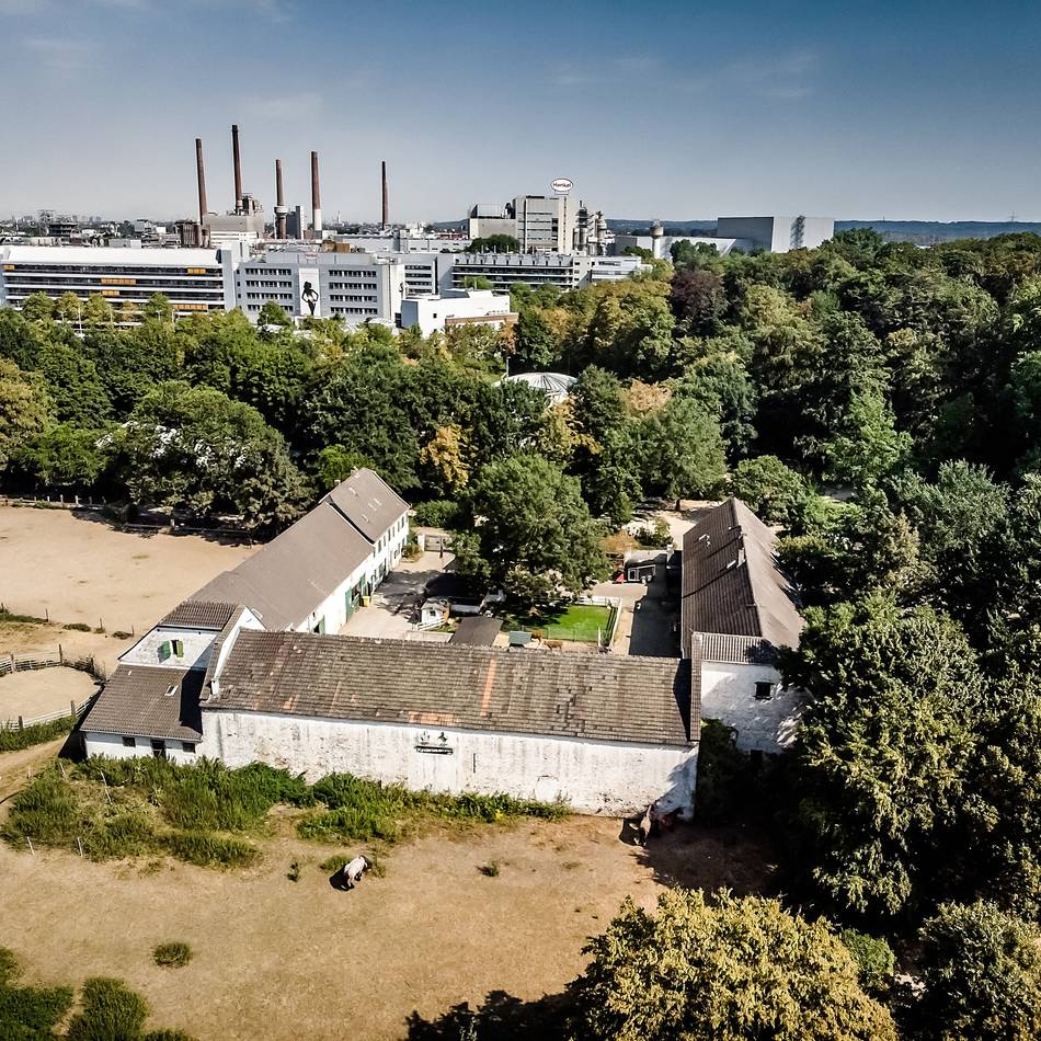 Denkmalgeschütztes Gehöft in Düsseldorf: Stadt lässt Zukunft des Niederheider Gutshofes offen