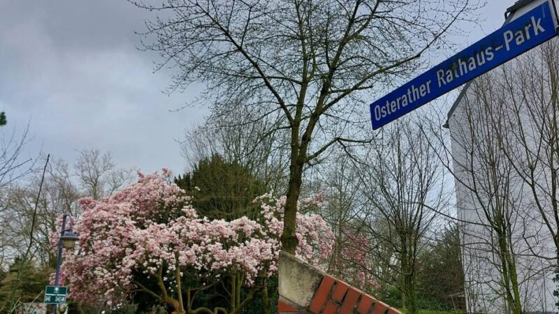 Brauchtum in Meerbusch: Familienfest mit jungen Schützen im Rathaus-Park