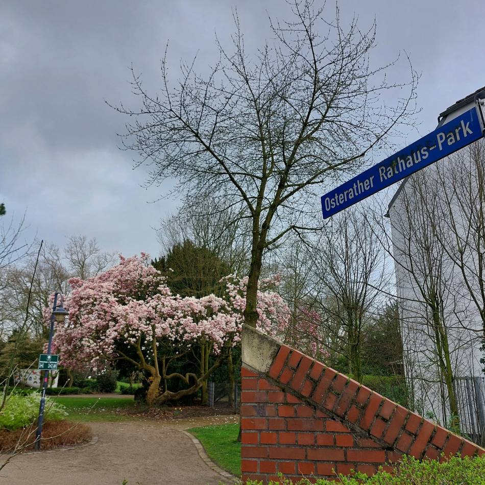 Brauchtum in Meerbusch: Familienfest mit jungen Schützen im Rathaus-Park
