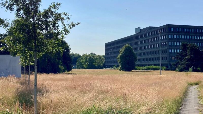 Drei Grüne Achsen ins Neusser Rheinvorland: 3M-Verkauf eröffnet einmalige Chance