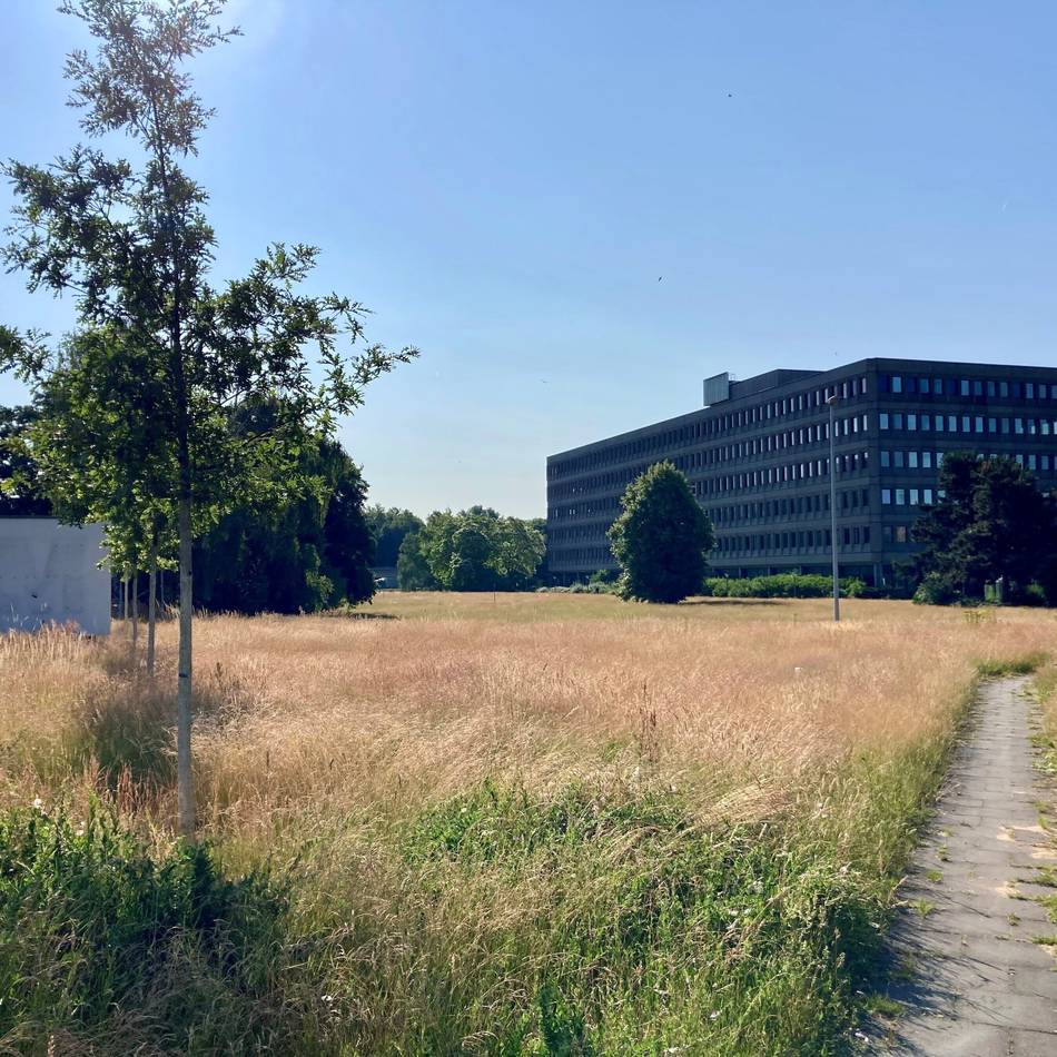 Drei Grüne Achsen ins Neusser Rheinvorland: 3M-Verkauf eröffnet einmalige Chance