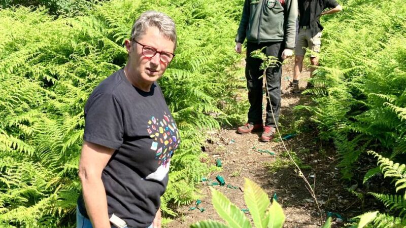 Gesetzesverstöße im Landschaftsschutzgebiet Brüner Höhen: Ärger über Mountainbikefahrer im Wald – „Ich fahre ja auch nicht durch deren Vorgärten“
