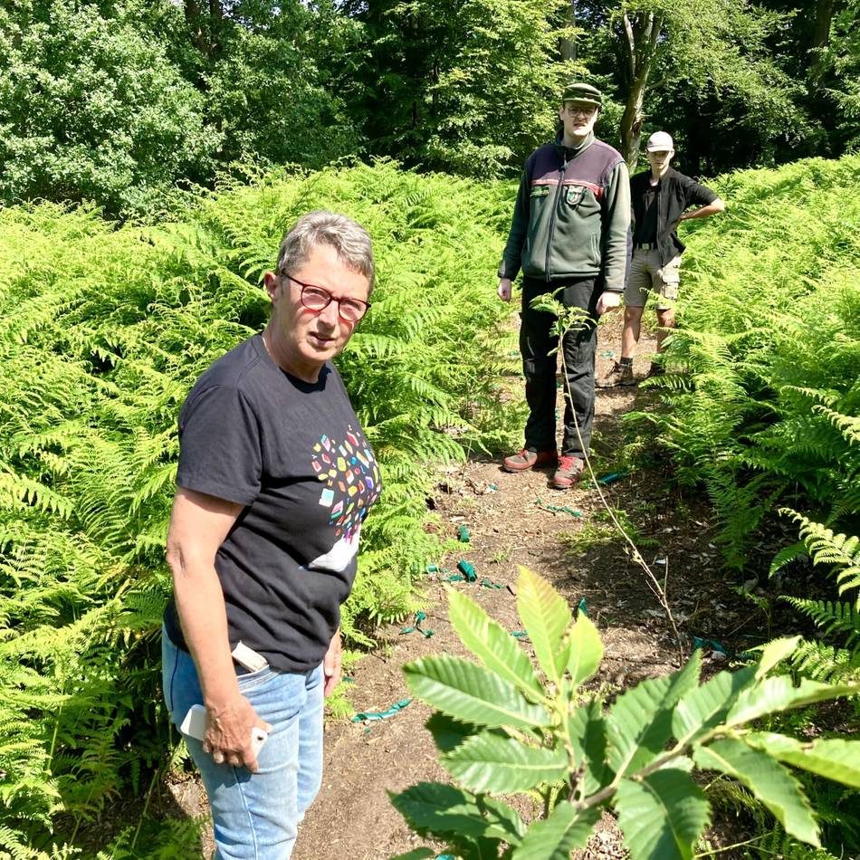 Gesetzesverstöße im Landschaftsschutzgebiet Brüner Höhen: Ärger über Mountainbikefahrer im Wald – „Ich fahre ja auch nicht durch deren Vorgärten“