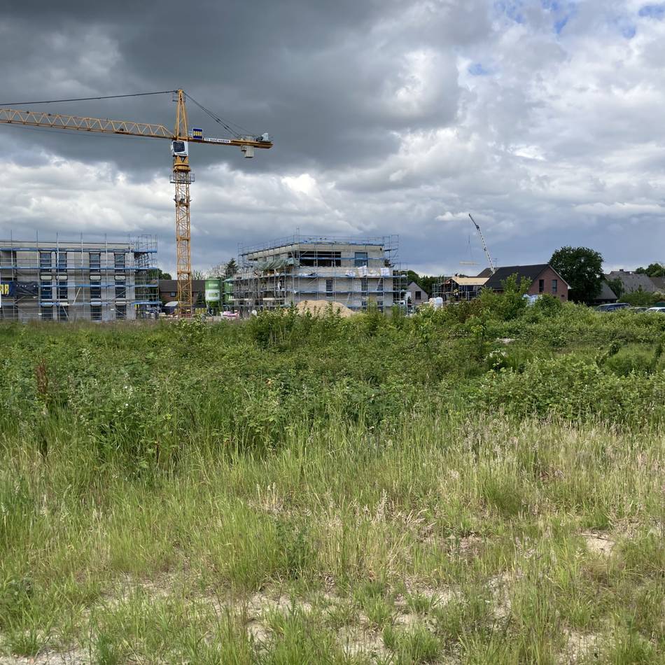 Neubaugebiet in Holzbüttgen: FWG will Wohnbebauung statt Supermarkt