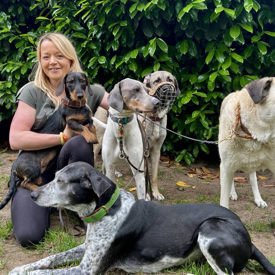 Immer mehr verstörte Hunde in Deutschland: Schermbeckerin lässt sich zur Traumatherapeutin für Hunde ausbilden – warum?