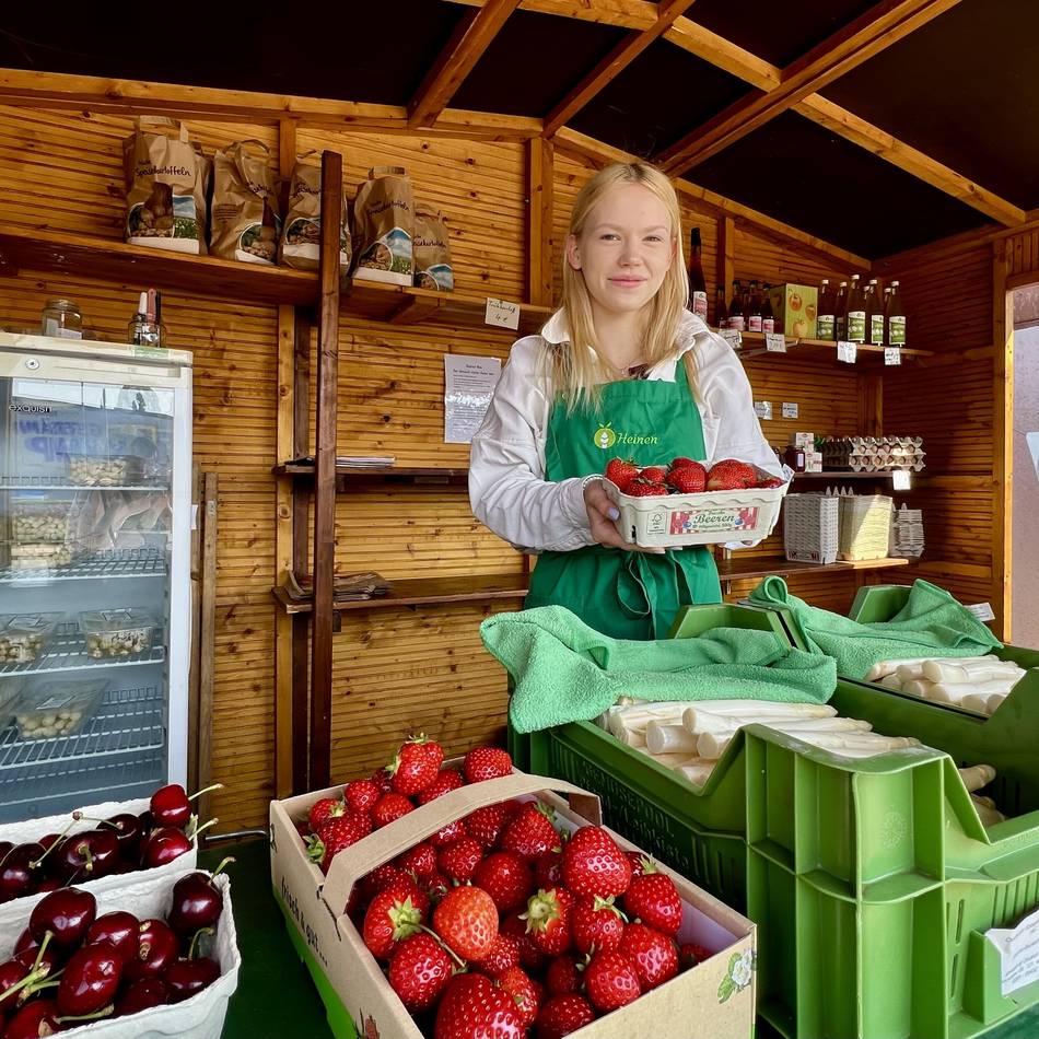 Wie sieht Arbeit in Weseler Erdbeerhäuschen aus?: „Habe vor Matheklausur von Funktionsaufgabe mit Erdbeeren geträumt“