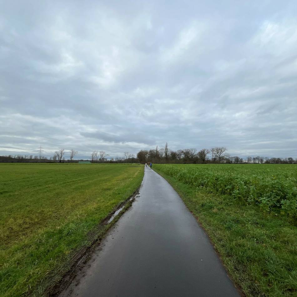 Umstrittenes Projekt in Hilden: Ausschuss berät erneut über Solarpark