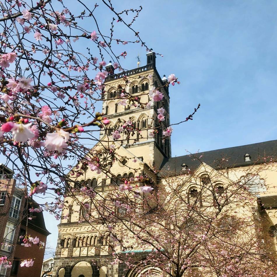 „Liebe(s)grüße aus Neuss“: Stadt sucht Fotomotive für Postkartenaktion