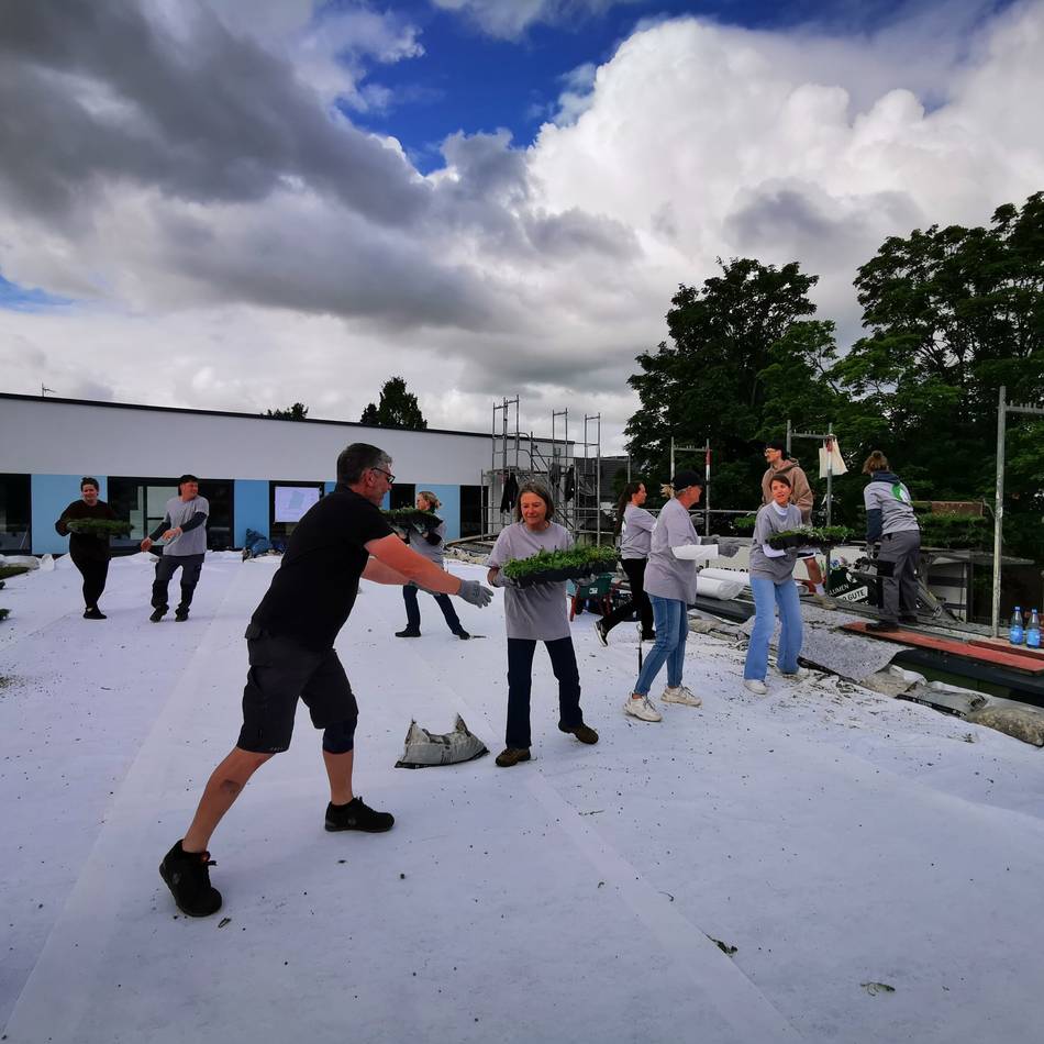 Arbeit wird zum Teamevent: Mitarbeiter der Stadt helfen bei Dachbegrünung auf Kita-Neubau
