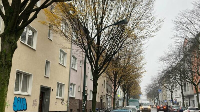 Grausiger Fund in Düsseldorf-Flingern: Getötete Frau im Maischefass – Tat bleibt ungesühnt