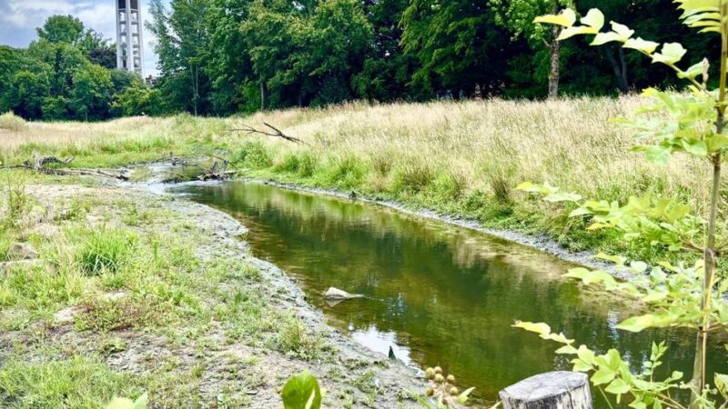 Zurück zur Natur : Die Düssel hat ihr natürliches Bett zurück